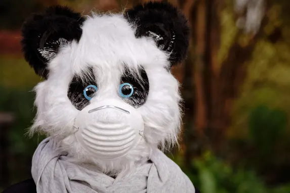 Vegadream Kasino Sokongan